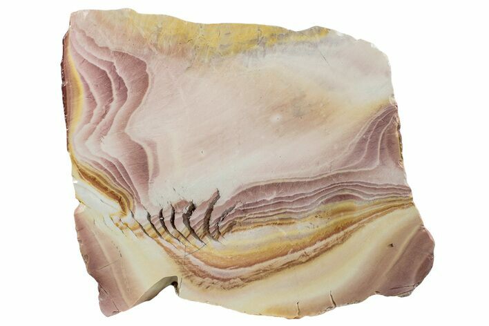 Polished Binthalya Opal Slab - Western Australia #239703